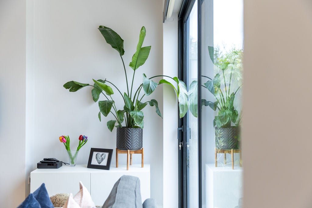 Ewell project image 29