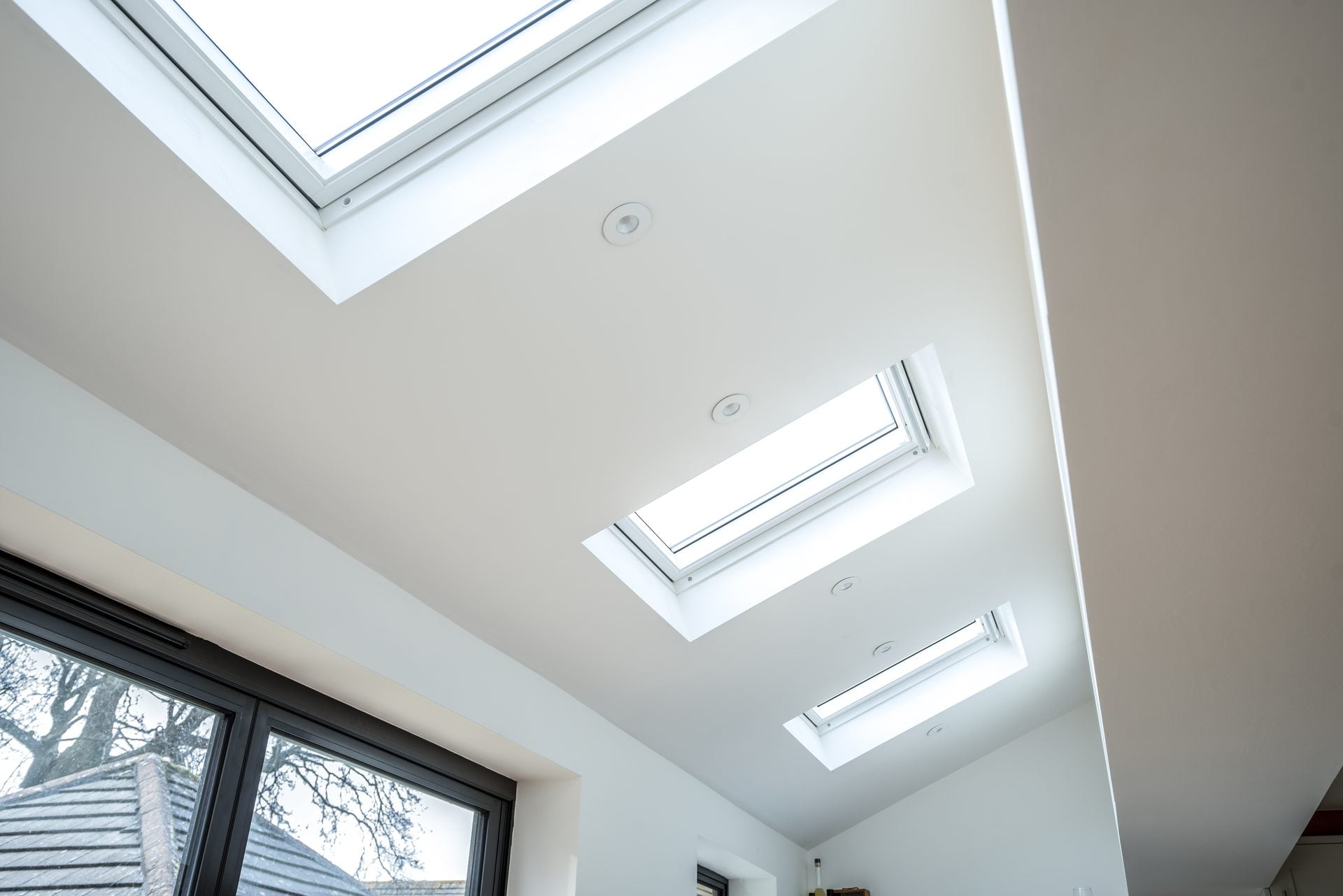 Caterham project image 11